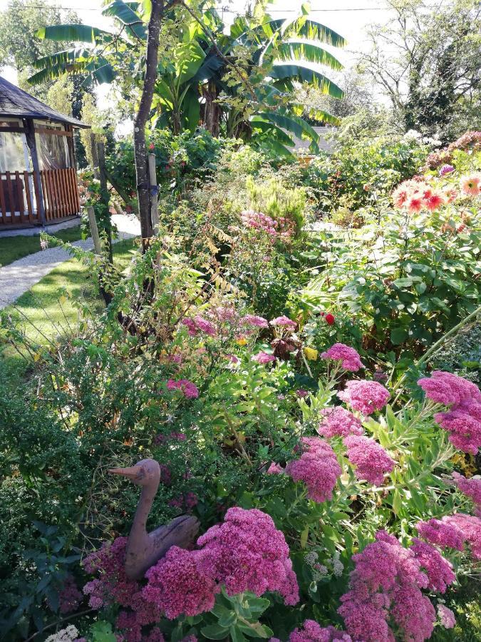 Les Petites Chapelles Bed & Breakfast Saint-Pierre-de-Plesguen Dış mekan fotoğraf