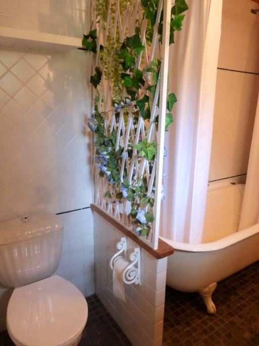 Les Petites Chapelles Bed & Breakfast Saint-Pierre-de-Plesguen Dış mekan fotoğraf